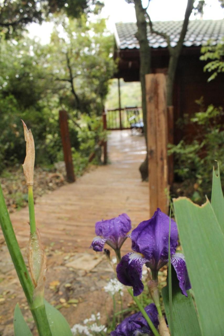 פסגת מתת Pisgat Mattat Villa ภายนอก รูปภาพ
